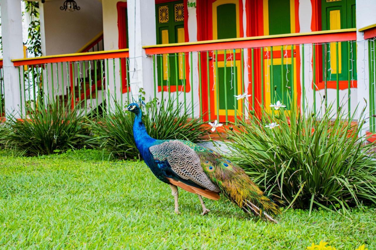 Hotel Campestre Cafe Cafe Montenegro Exterior foto